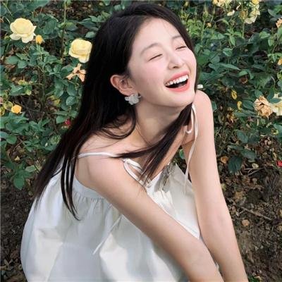 狐狸之声国语