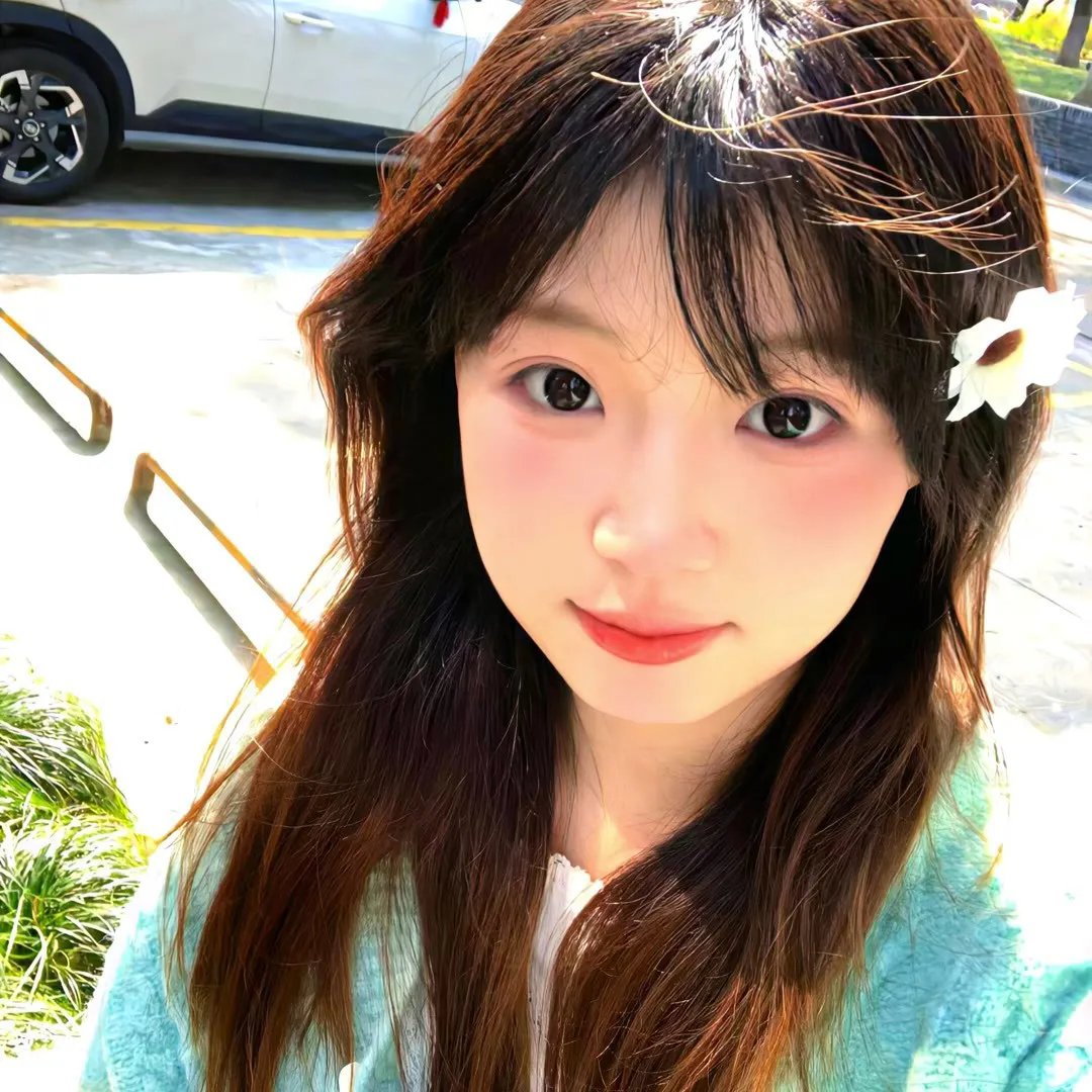 笨金鱼
